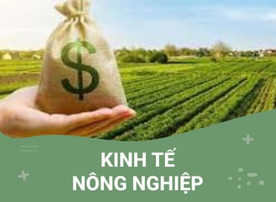 Ngành kinh tế nông nghiệp