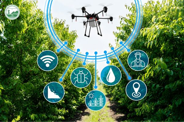 Ngành công nghệ thực phẩm có vai trò