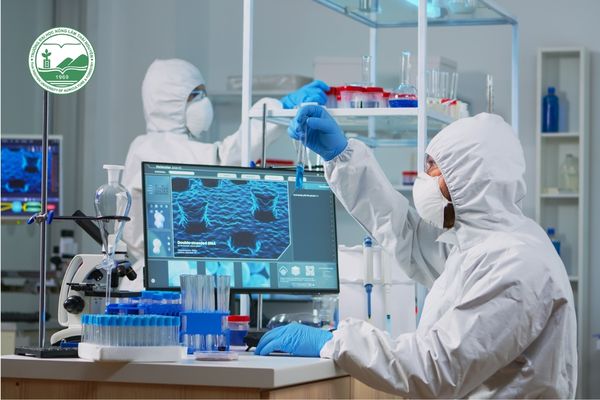 Bằng đại học từ xa có xin được việc không?