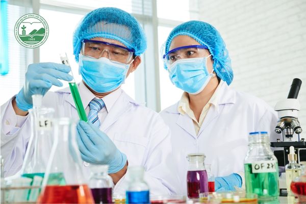 Nên học liên thông đại học Ngành Dược học