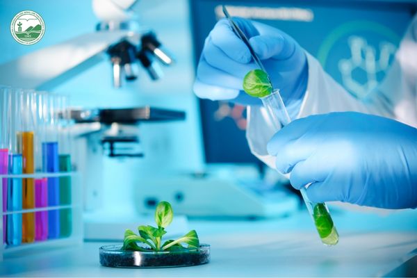 công nghệ chế biến thực phẩm sinh học