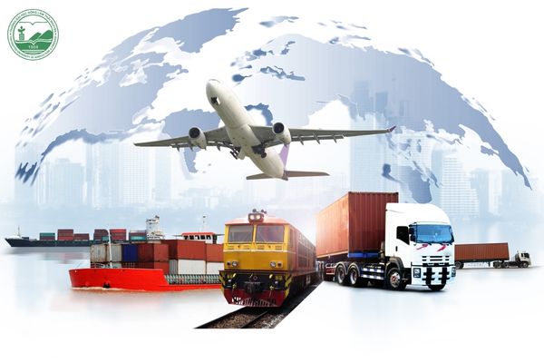 xuất nhập khẩu việt nam 2022