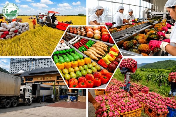 xuất nhập khẩu việt nam 2022