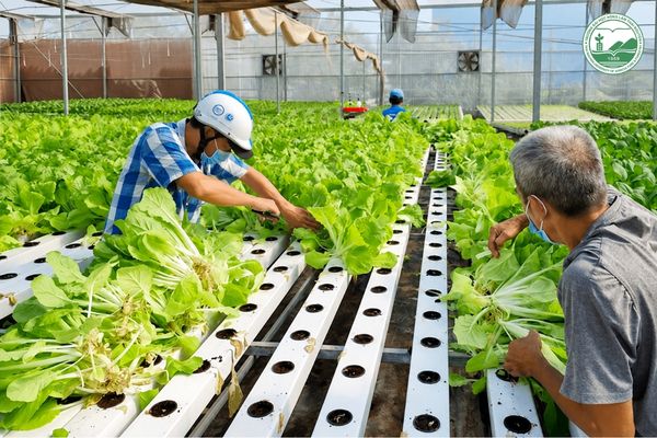 Tạo việc làm và nâng cao chất lượng cuộc sống