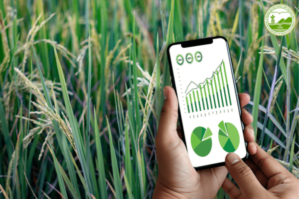 nông nghiệp bền vững ở việt nam