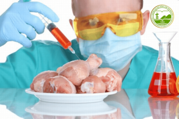 sản xuất thực phẩm công nghệ cao
