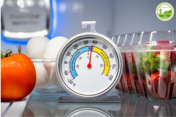 cách bảo quản thực phẩm 