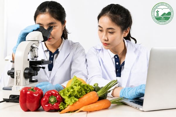 phương pháp bảo quản thực phẩm