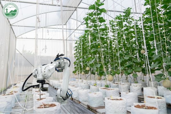 tự động hóa trong nông nghiệp