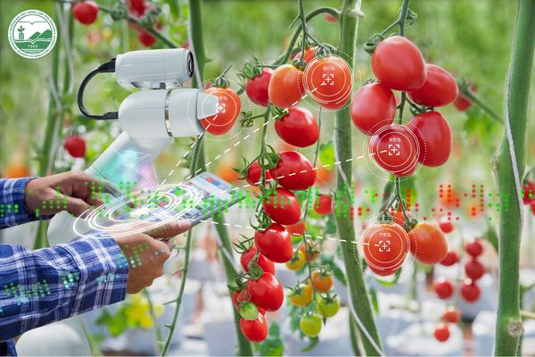 tự động hóa trong nông nghiệp