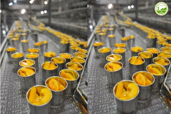 Phương pháp chế biến đóng hộp