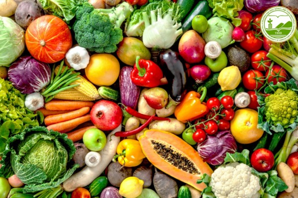 Chế biến thực phẩm có ý nghĩa gì đối với nền kinh tế