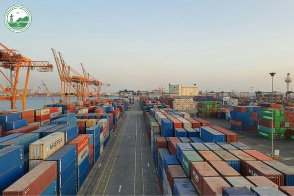 Quy định hạn chế về kiểm soát xuất nhập khẩu lâm sản