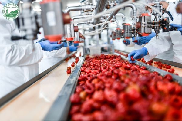 Các yếu tố tác động đến nhu cầu nông lâm sản