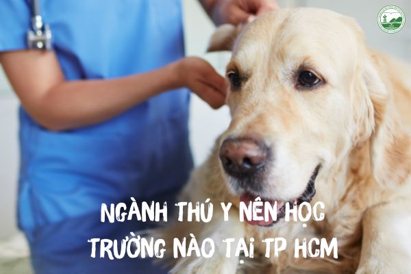 Ngành thú y học trường nào tại Hà Nội? Tư vấn năm 2026