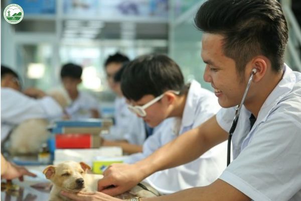Truong dai hoc co nganh thu y