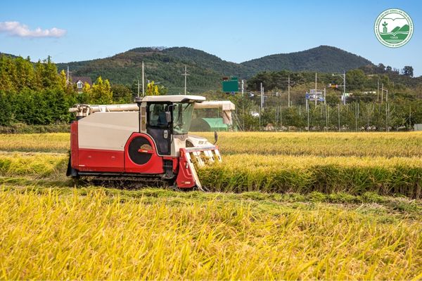 nông nghiệp ứng dụng công nghệ cao