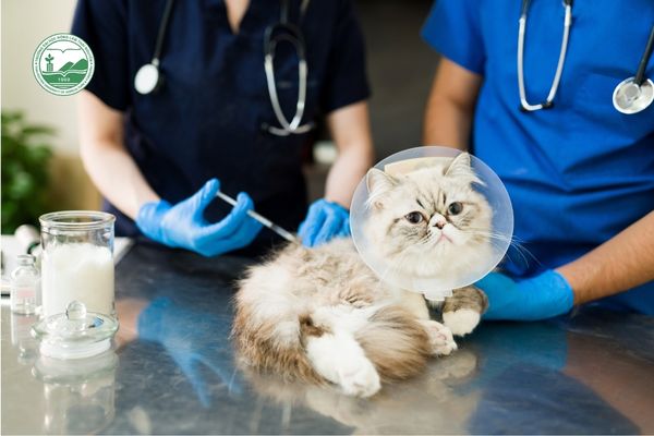 Yêu cầu kỹ năng thực hành cao