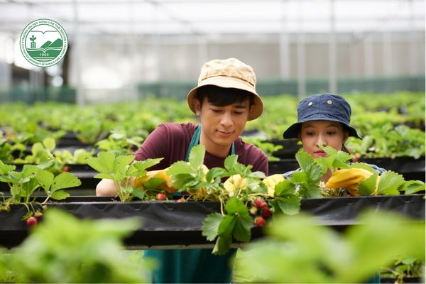 Khối B gồm những ngành nào? Khối ngành Tài Nguyên - Môi Trường