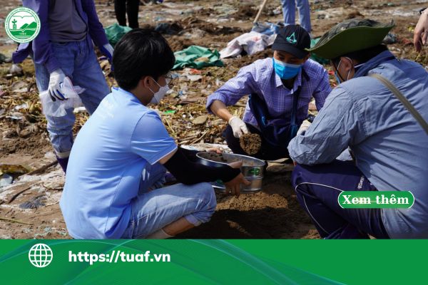 Ngành Quản Lý Tài Nguyên Và Môi Trường Ra Làm Gì? [Năm 2026]