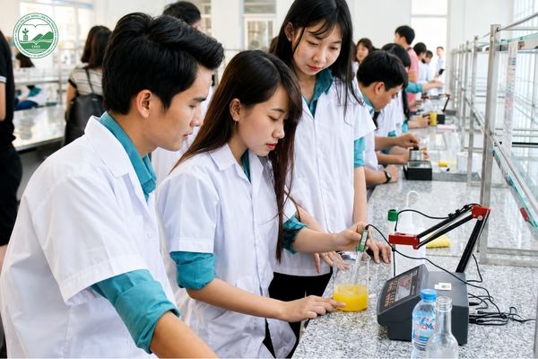 Học kỹ thuật công nghệ thực phẩm