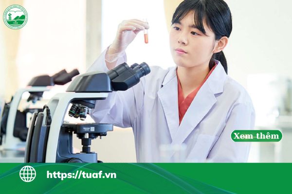 Con gái có nên học ngành Quản lý Tài nguyên và Môi trường không?