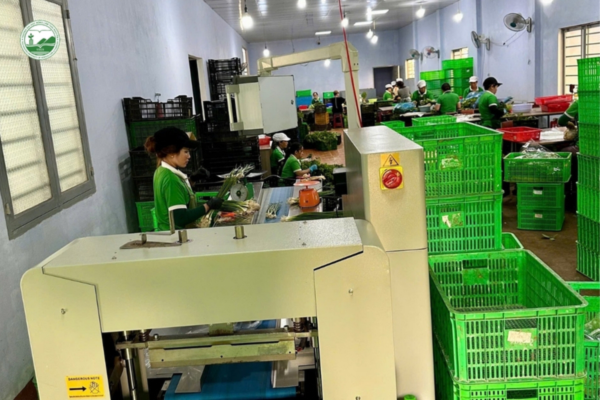 nông nghiệp công nghệ cao
