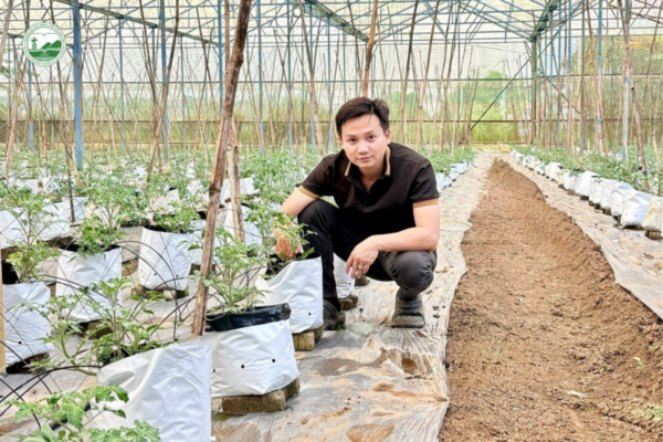 nông nghiệp công nghệ cao