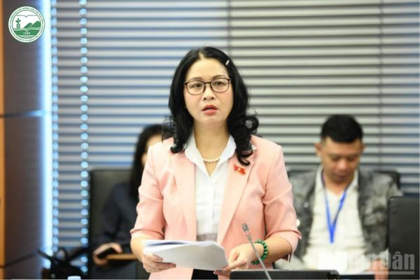 Đại biểu Nguyễn Thị Lan phát biểu