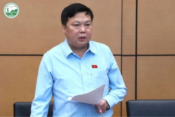 Đại biểu Phạm Hùng Thắng phát biểu