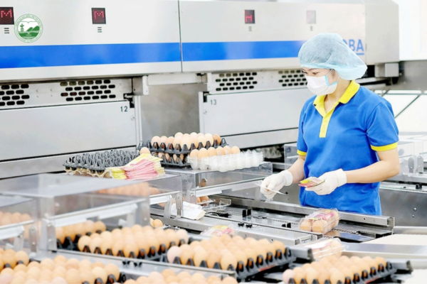 chế biến thực phẩm tại nhật