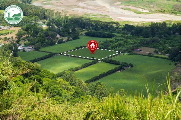 Học quản lý đất đai ra làm gì