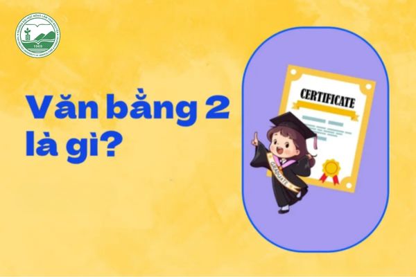 Văn bằng 2 giúp người đã có một bằng Đại học sở hữu thêm một bằng Đại học thứ hai