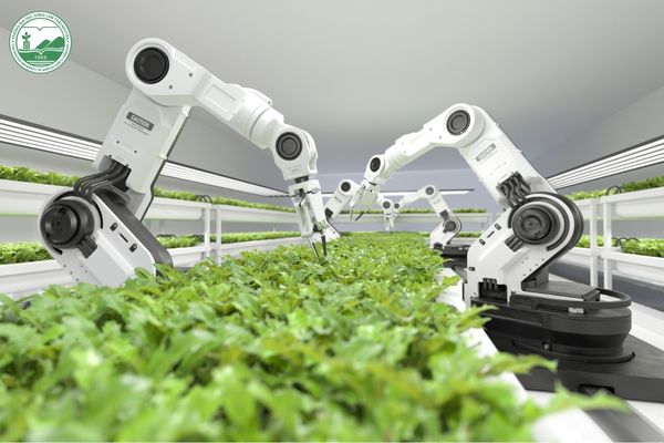 xây dựng nền nông nghiệp bền vững
