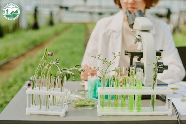 xây dựng nền nông nghiệp bền vững