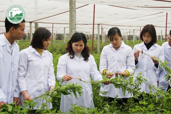 Lĩnh vực tiềm năng cho những ai đam mê làm đẹp, sức khỏe.