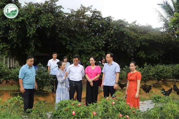 Đoàn công tác kiểm tra mô hình khai thác và phát triển nguồn gen gà Mông tại Thái Nguyên