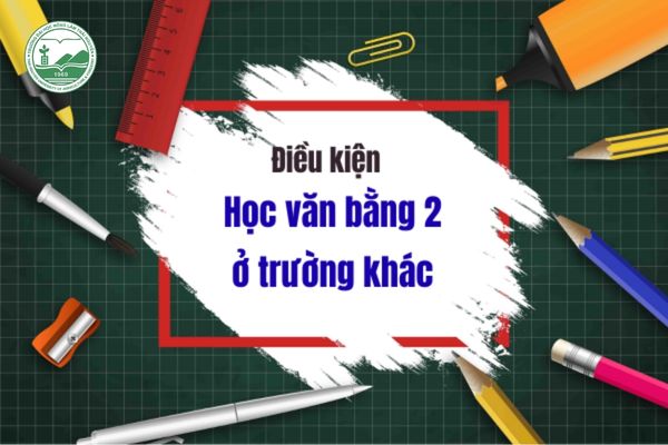 Những tiêu chí và yêu cầu đầu vào