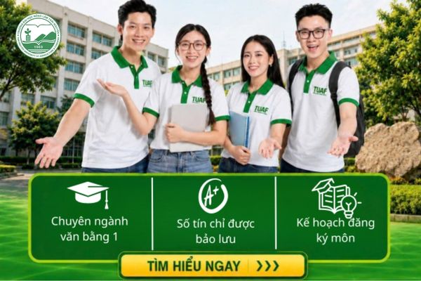 Những yếu tố then chốt quyết định trực tiếp đến lộ trình và thời gian hoàn thành