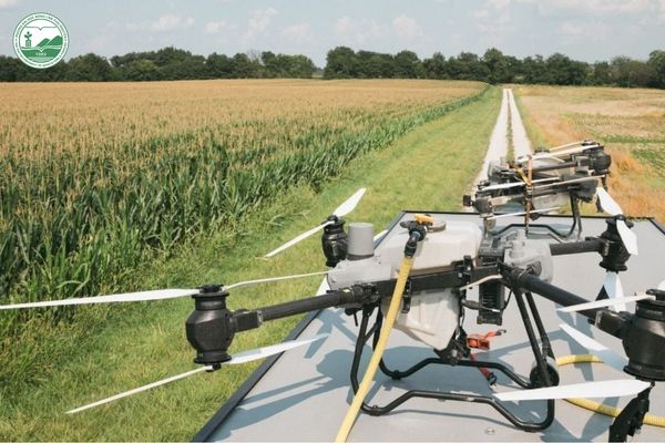 Chi phí đầu tư trồng trọt công nghệ cao với thiết bị drone nông nghiệp