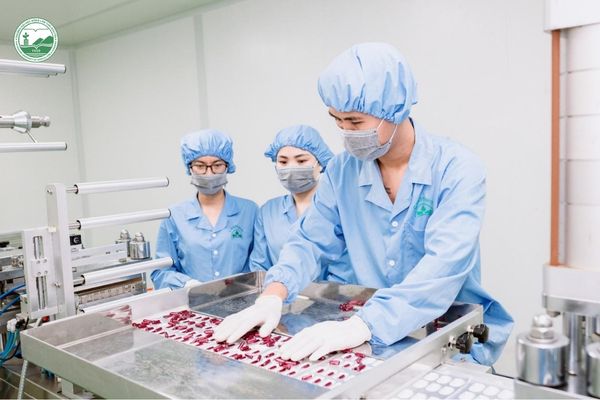 Sinh viên và kỹ thuật viên làm việc trong dây chuyền sản xuất và kiểm soát chất lượng ngành Công nghệ thực phẩm