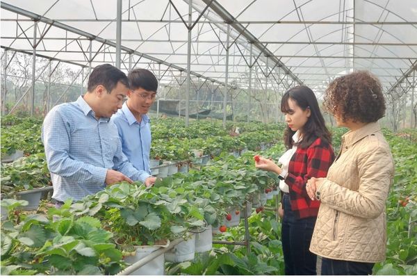 Cơ hội việc làm ngành Nông nghiệp công nghệ cao hiện nay