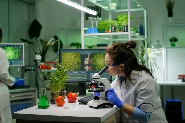 Con gái có nên học ngành Công nghệ thực phẩm không? Cơ hội và thách thức cần biết