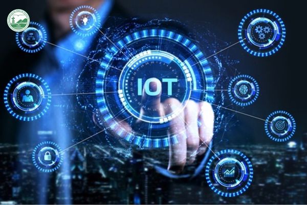 Công nghệ Internet vạn vật IoT kết nối thiết bị và thu thập dữ liệu trong Nông nghiệp 4.0