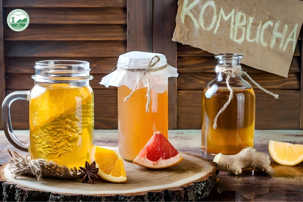 Kombucha và các loại đồ uống lên men được tạo ra từ quá trình chuyển hóa đường nhờ vi sinh vật