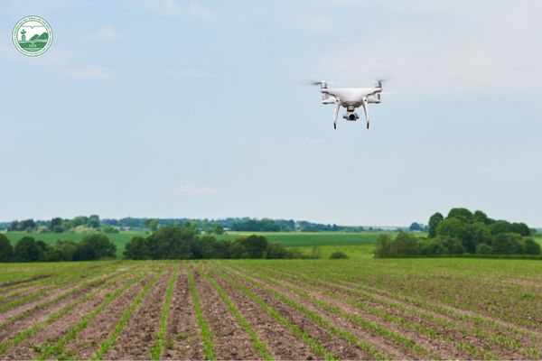 Ứng dụng drone trong quản lý sản xuất nông nghiệp thông minh và giám sát đồng ruộng