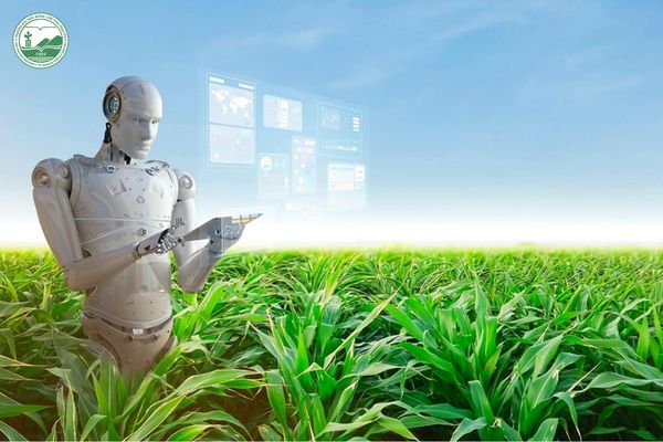 Lựa chọn công nghệ phù hợp với từng mô hình sản xuất trong nông nghiệp công nghệ cao là một thách thức