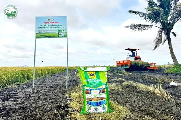 Nông nghiệp 4.0 ứng dụng cơ giới hóa trong mô hình sản xuất lúa chất lượng cao