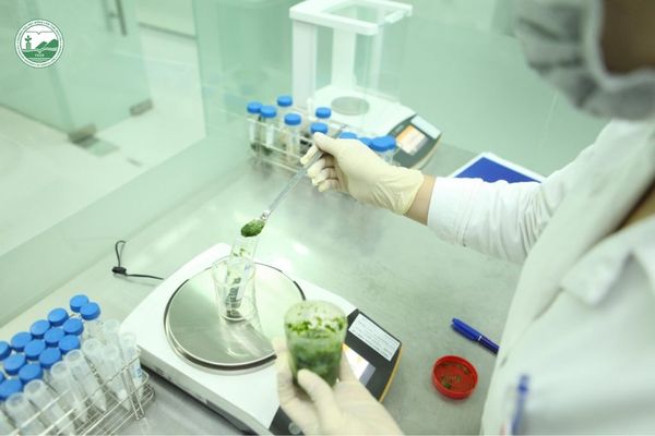 Nhân viên kiểm nghiệm, an toàn thực phẩm