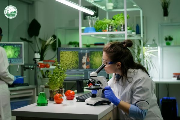 Nữ kỹ thuật viên Công nghệ thực phẩm nghiên cứu mẫu thực phẩm trong phòng thí nghiệm